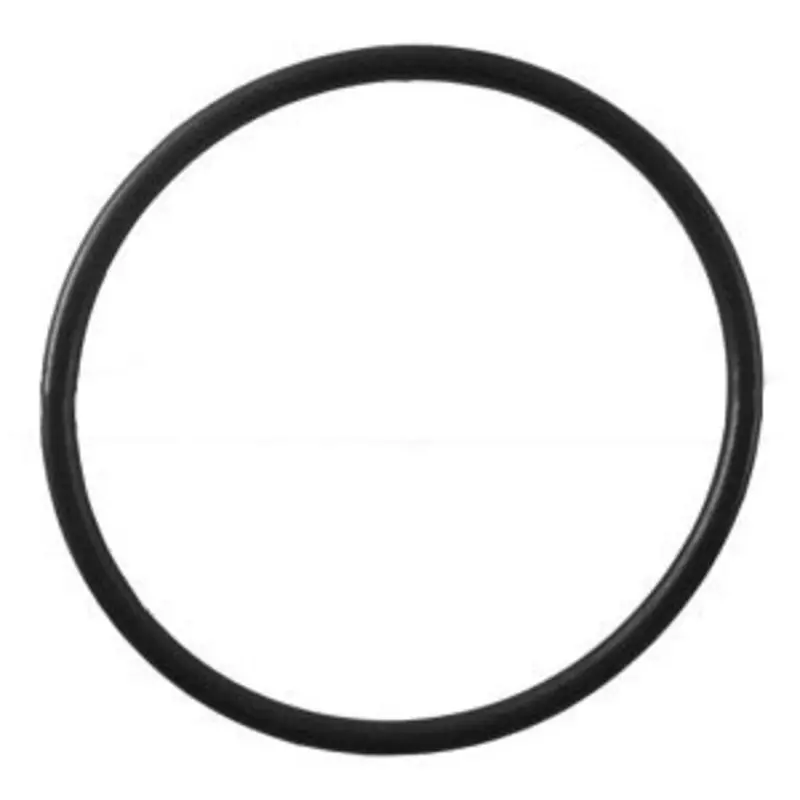 Epdm O-Ring Replacement For Watts And Flowmatic 4500 & 8000 Filter Housings 1