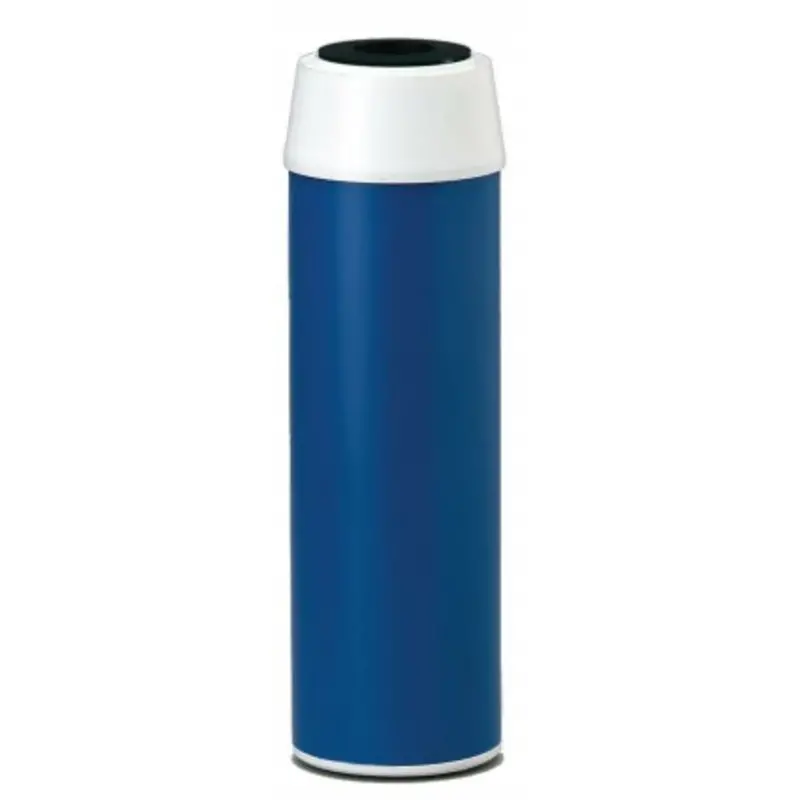 Everpure Costguard Replacement Filter Cartridge – Cgt-10 (Gac-10) 1