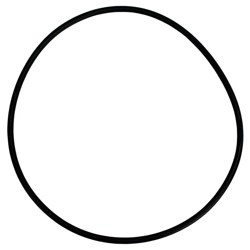 Neo-Pure Replacement Gasket For Swing-Bolt Single-Bag Filter Housings 1