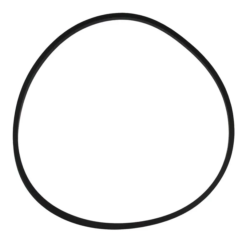 Pentek 151254 Square-Cut O-Ring For Big Clear & Big White Filter Housings 1