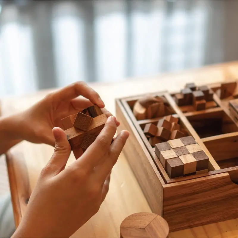 Premium Wooden Puzzle Gift Box – Curated Set Of 9 Mechanical Brain Teasers 1