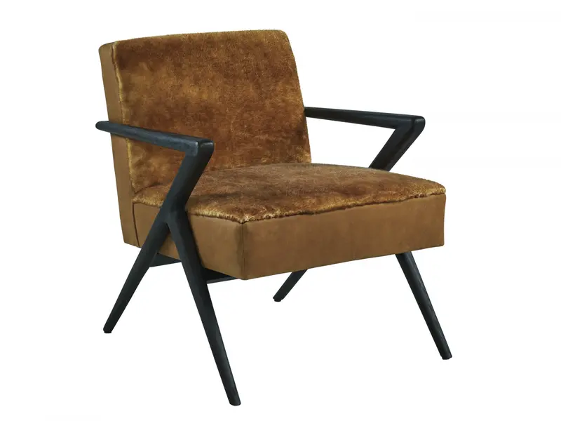 Tanzania Full-Grain Leather Accent Chair 1