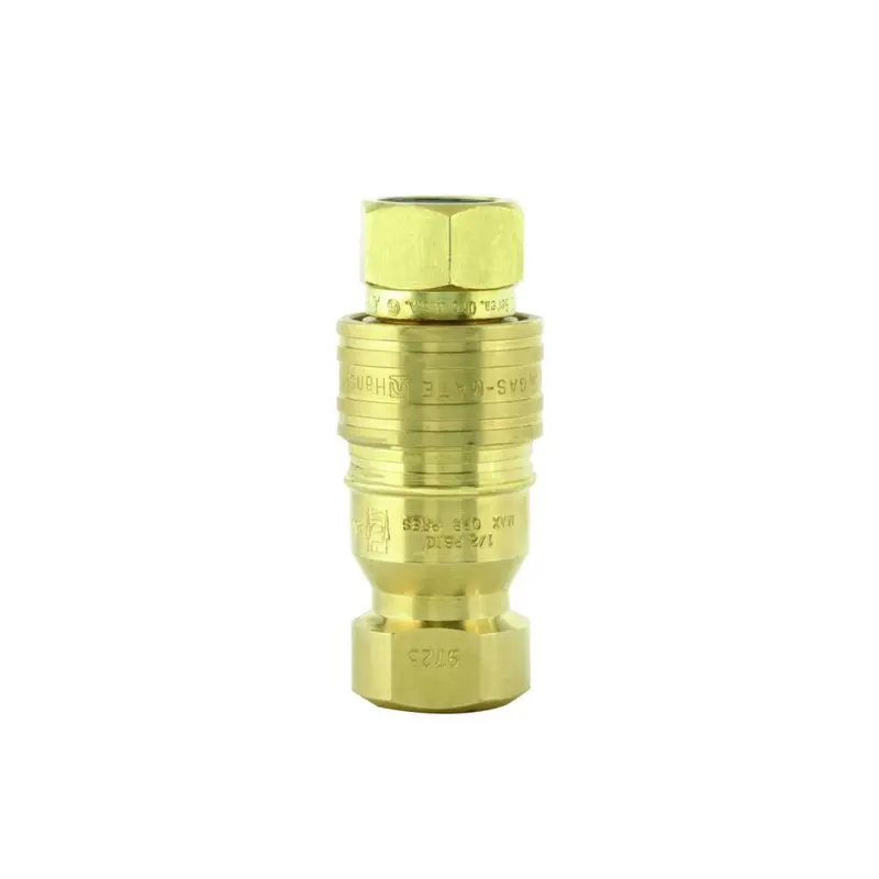 T&S Brass Aw-5C Quick-Disconnect Fitting For Water Hoses — 1/2" Npt 1