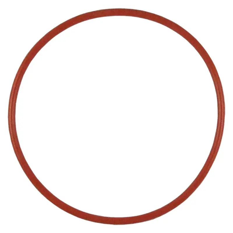 Viton O-Ring Seal For Flowmatic Full-Flow 10-Inch And 20-Inch Filter Housings 1