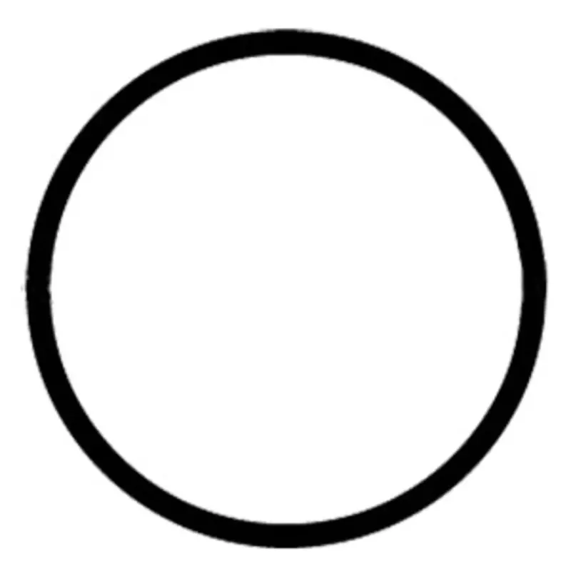 Watts/Flowmatic Fh4100Ww14 O-Ring Or-5Mt-Fs – Replacement Seal For Filter Housing 1