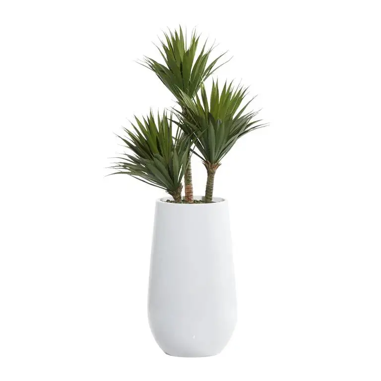 White Fiberglass Date Palm Artificial Plant 1
