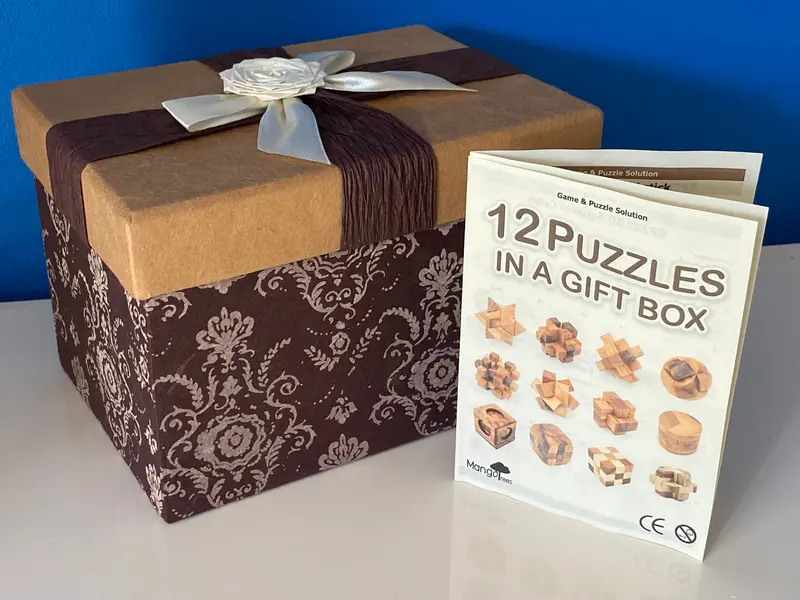 Wooden Puzzle Collection – 12 Classic Brainteasers In Elegant Gift Box 1